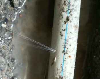 江门市卫生间测漏水多少钱