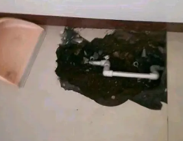 江门市卫生间测漏水多少钱